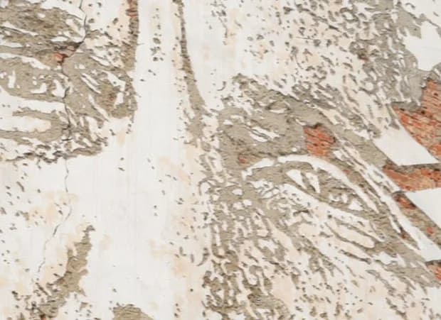 Lisbon Aging Mural